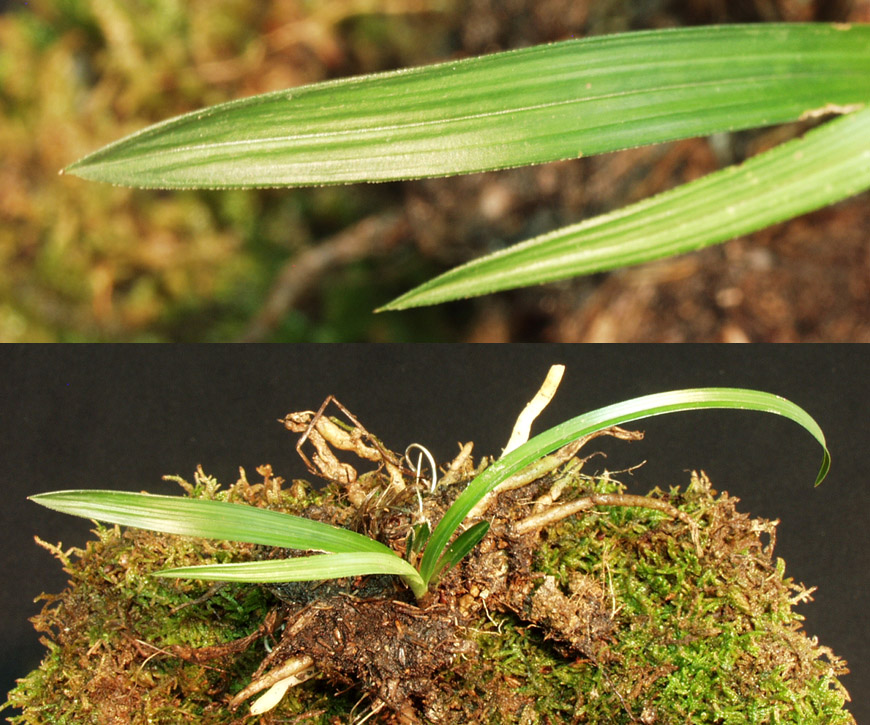 ������ ū������ �� �� �ֽ��ϴ�.