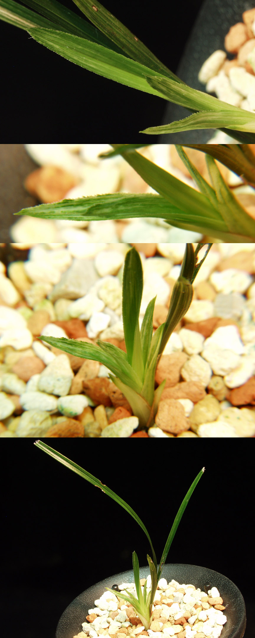 ������ ū������ �� �� �ֽ��ϴ�.