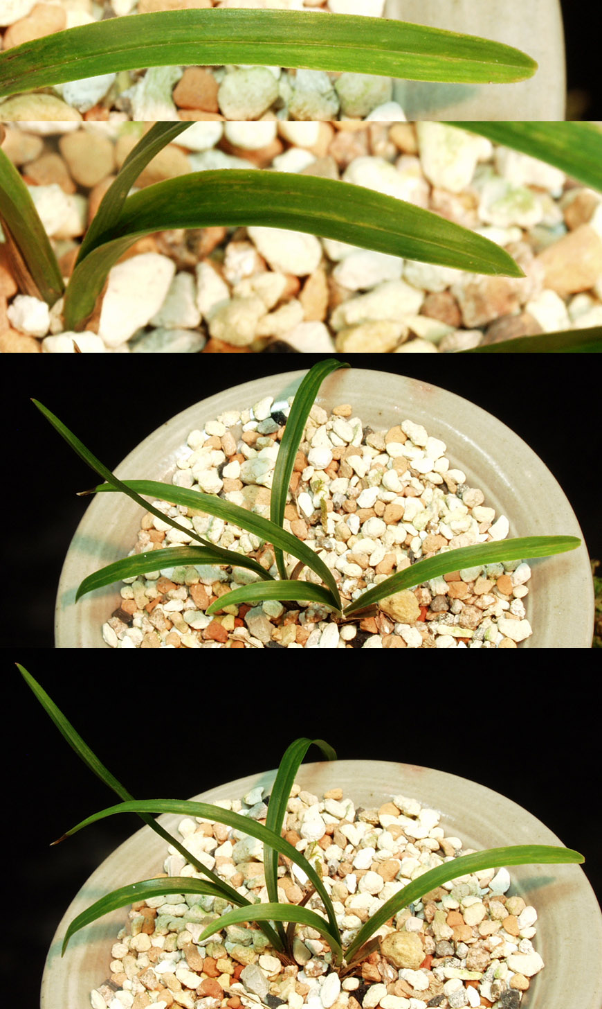 ������ ū������ �� �� �ֽ��ϴ�.