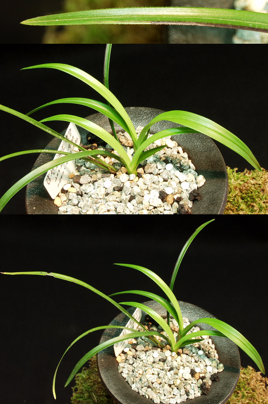 ������ ū������ �� �� �ֽ��ϴ�.