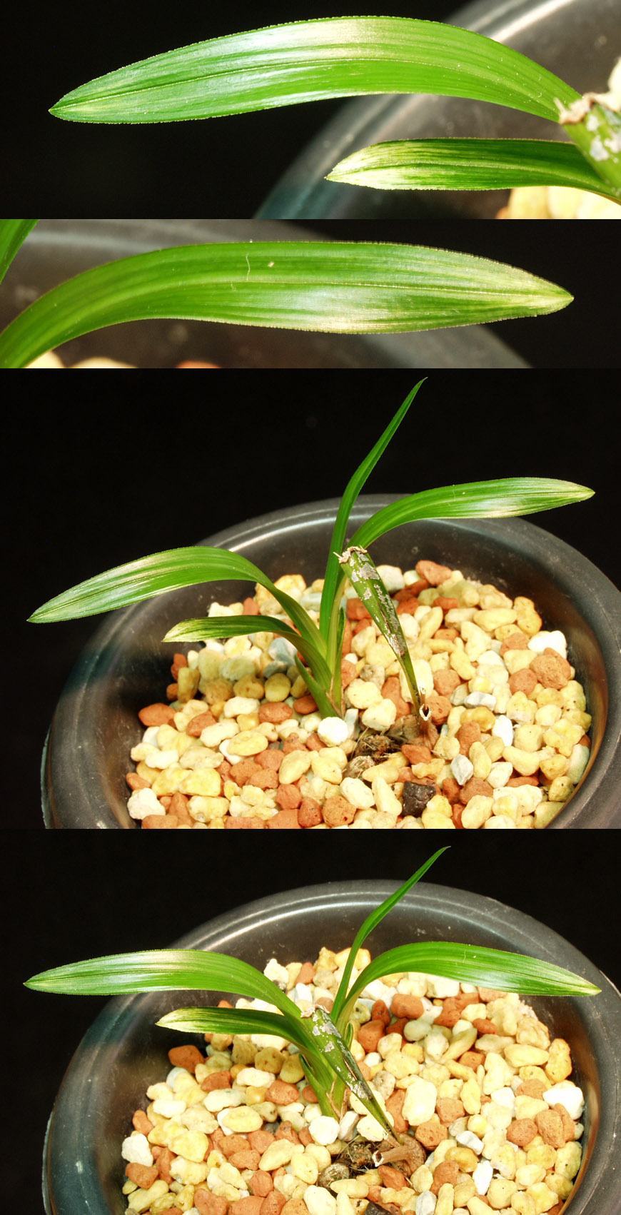 ������ ū������ �� �� �ֽ��ϴ�.