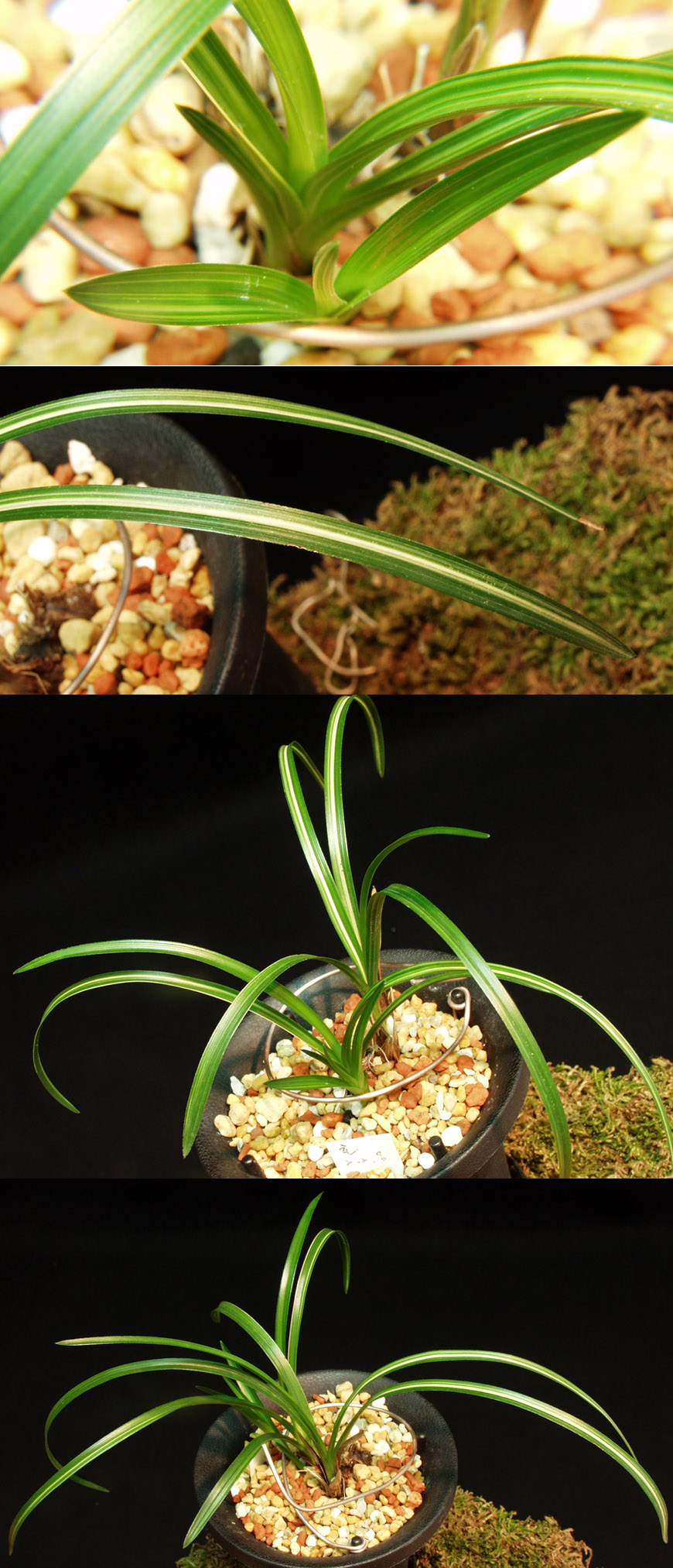 ������ ū������ �� �� �ֽ��ϴ�.