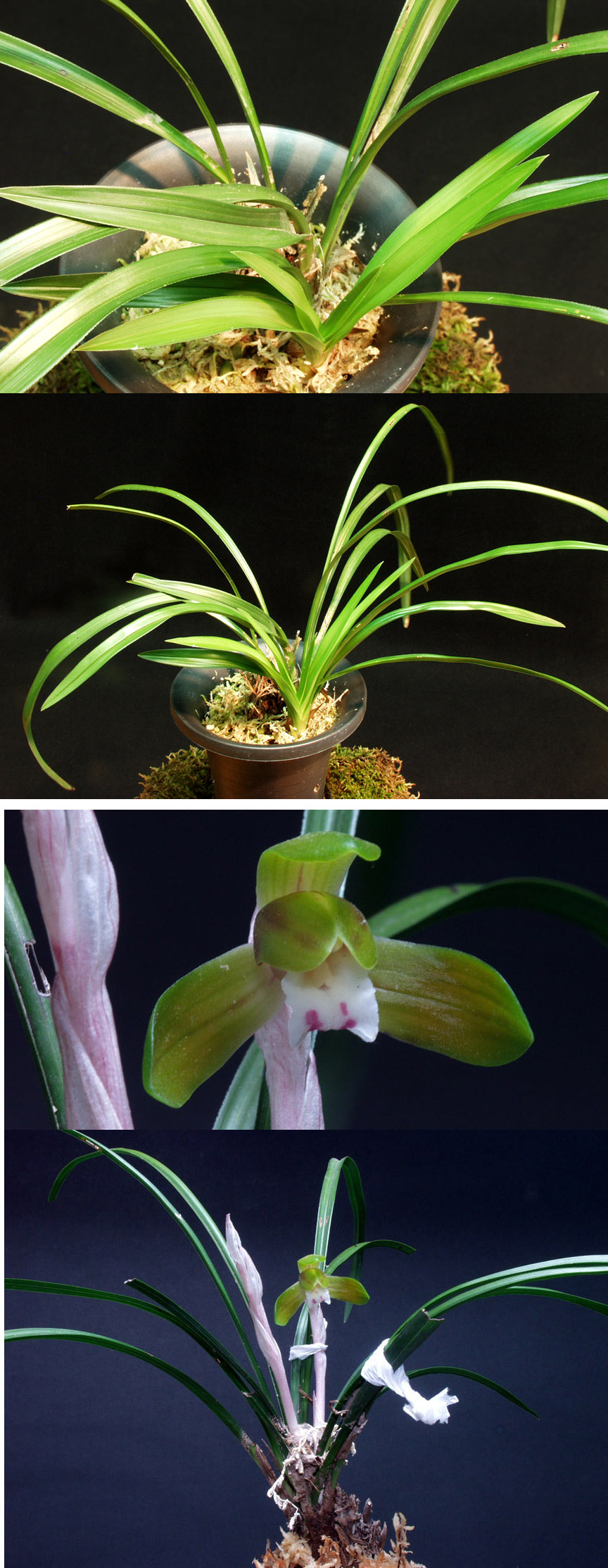 ������ ū������ �� �� �ֽ��ϴ�.