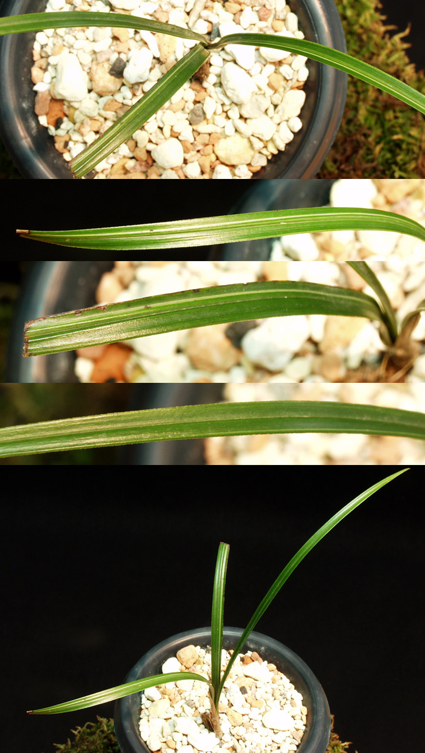 ������ ū������ �� �� �ֽ��ϴ�.