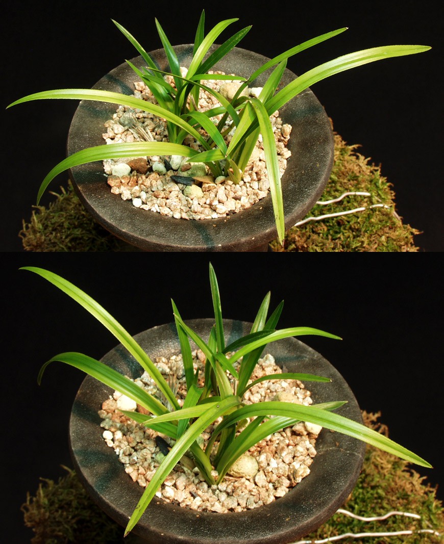 ������ ū������ �� �� �ֽ��ϴ�.