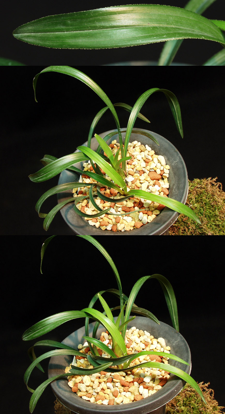 ������ ū������ �� �� �ֽ��ϴ�.