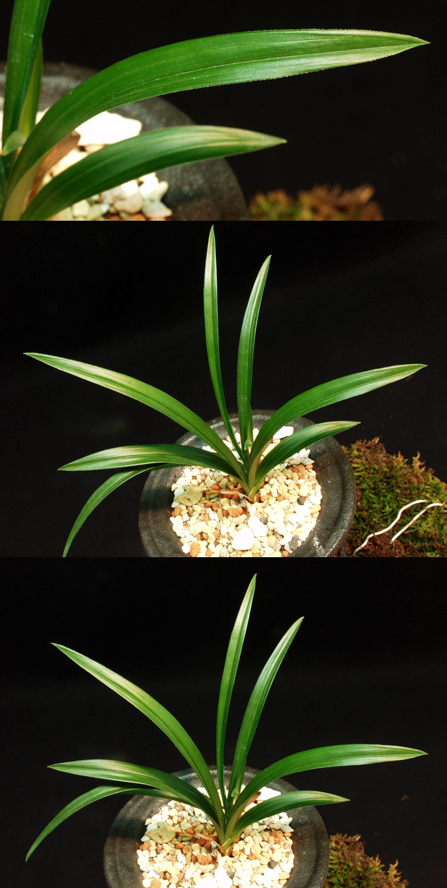 ������ ū������ �� �� �ֽ��ϴ�.