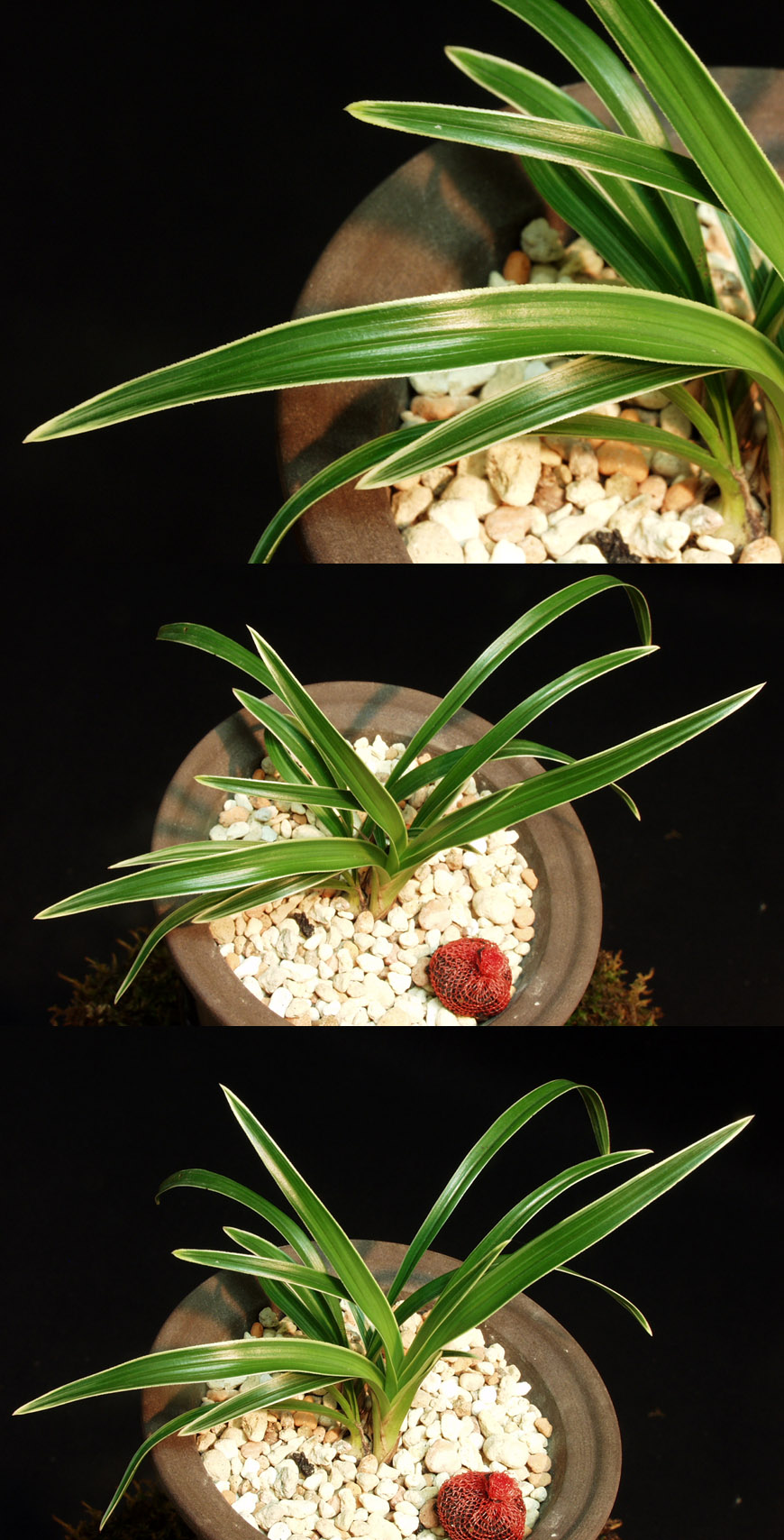 ������ ū������ �� �� �ֽ��ϴ�.