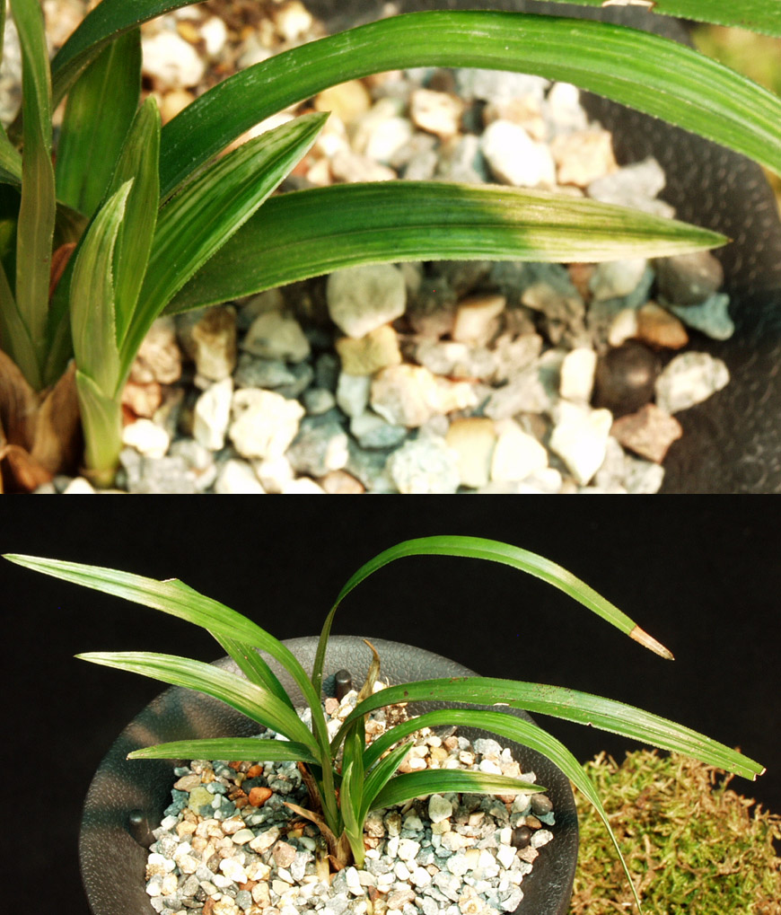 ������ ū������ �� �� �ֽ��ϴ�.