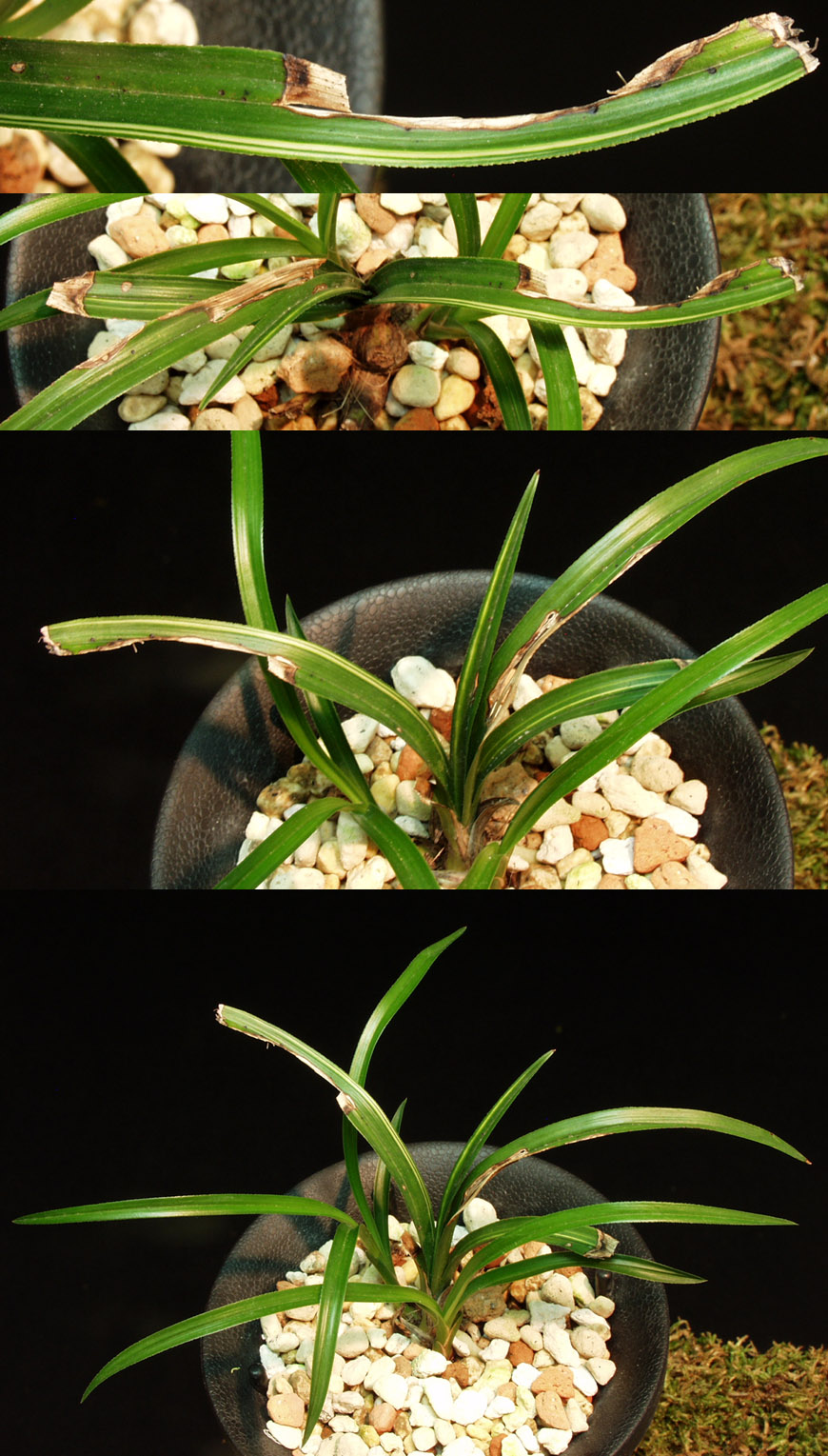 ������ ū������ �� �� �ֽ��ϴ�.