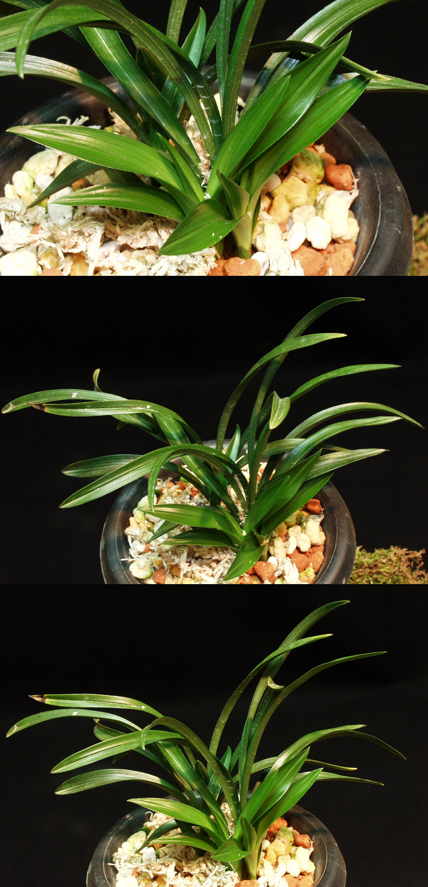 ������ ū������ �� �� �ֽ��ϴ�.