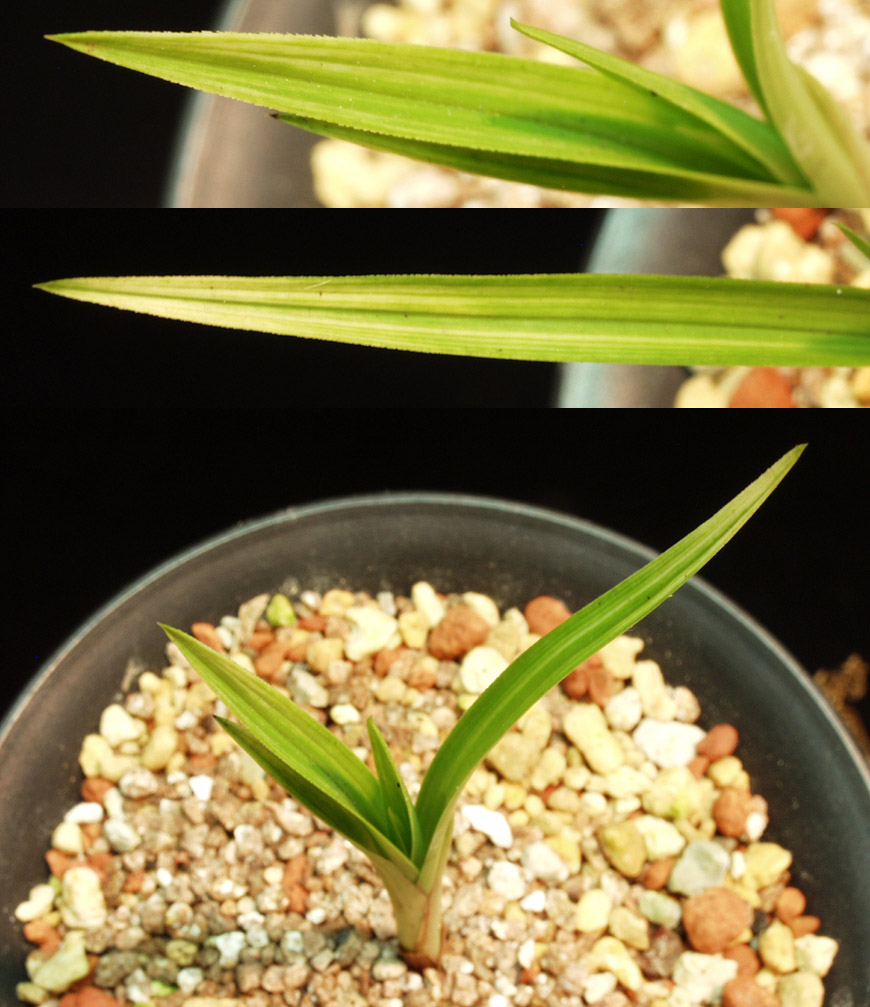 ������ ū������ �� �� �ֽ��ϴ�.