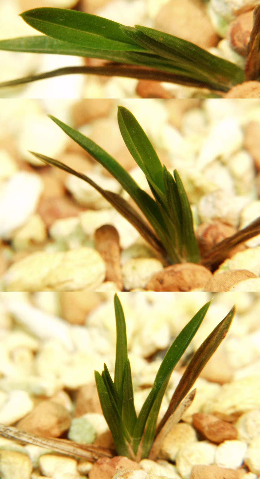 ������ ū������ �� �� �ֽ��ϴ�.