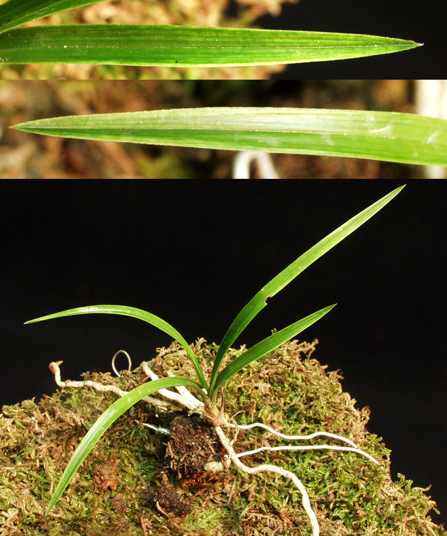 ������ ū������ �� �� �ֽ��ϴ�.