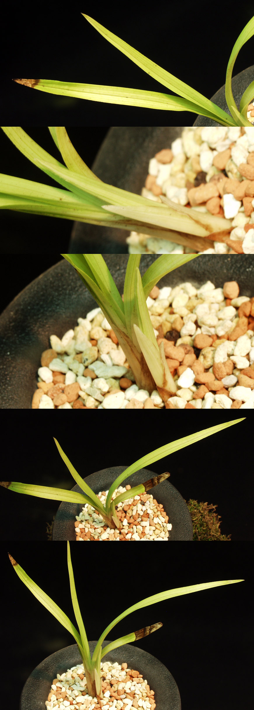 ������ ū������ �� �� �ֽ��ϴ�.