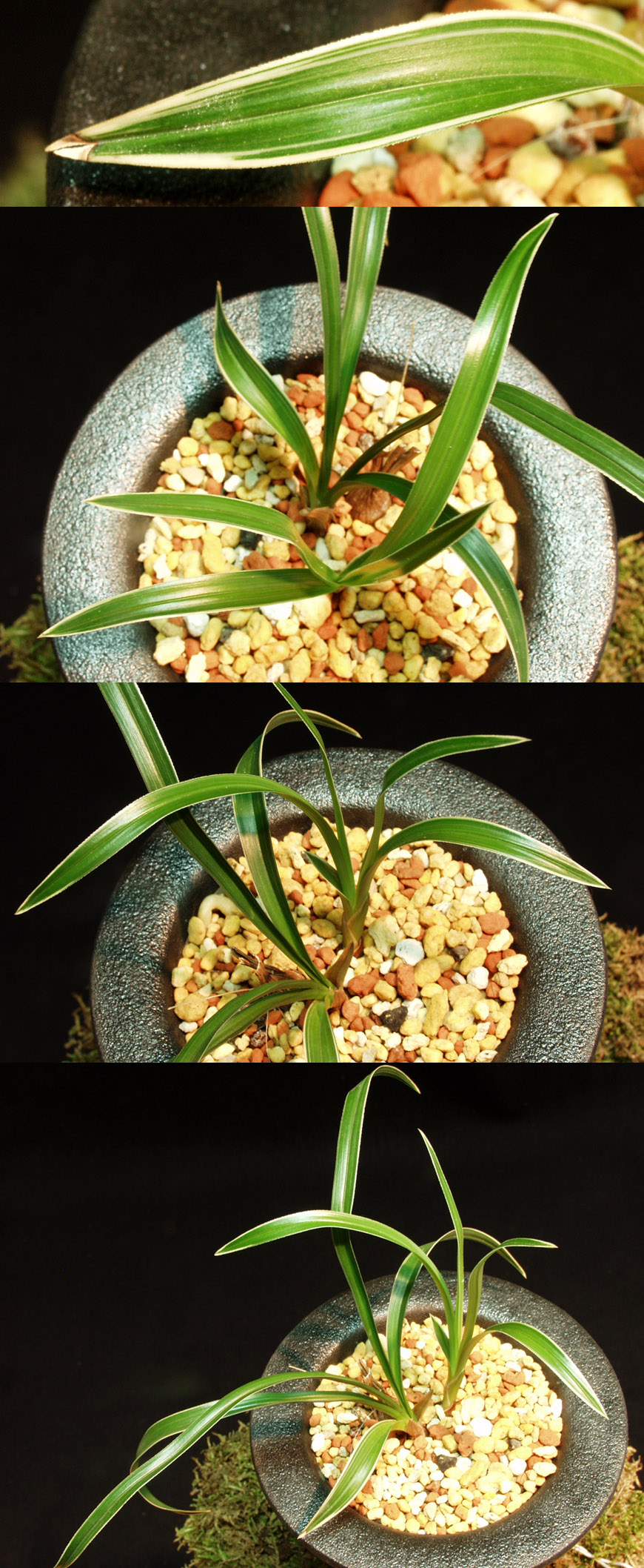 ������ ū������ �� �� �ֽ��ϴ�.