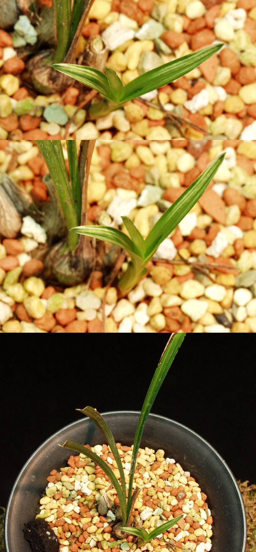 ������ ū������ �� �� �ֽ��ϴ�.