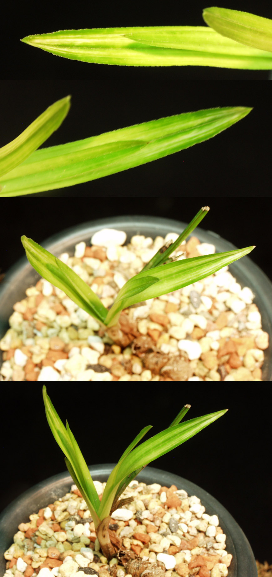 ������ ū������ �� �� �ֽ��ϴ�.