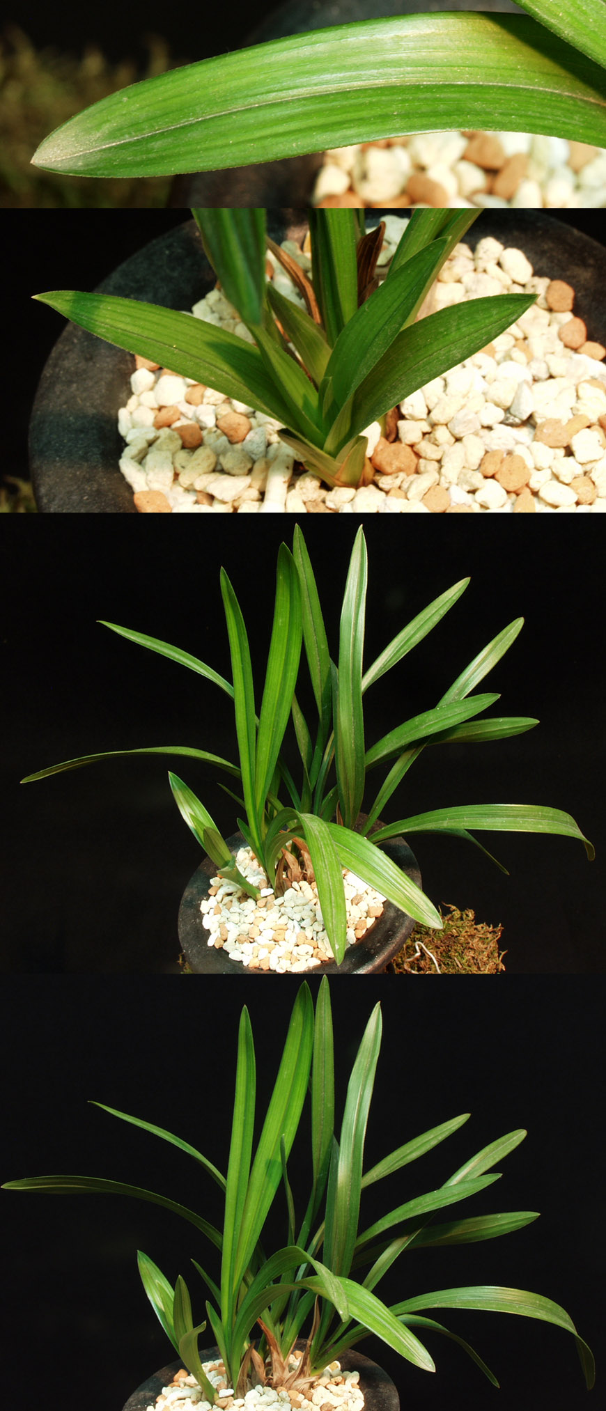 ������ ū������ �� �� �ֽ��ϴ�.