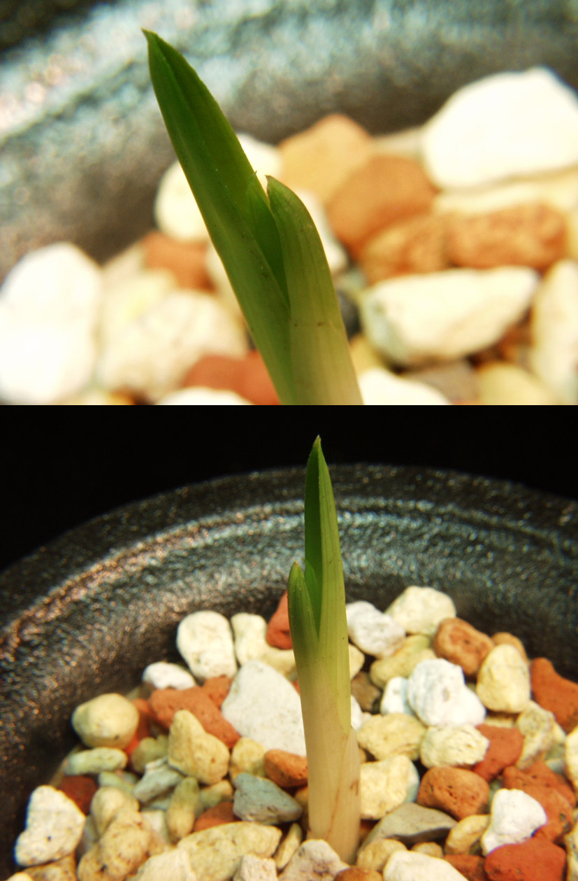 ������ ū������ �� �� �ֽ��ϴ�.