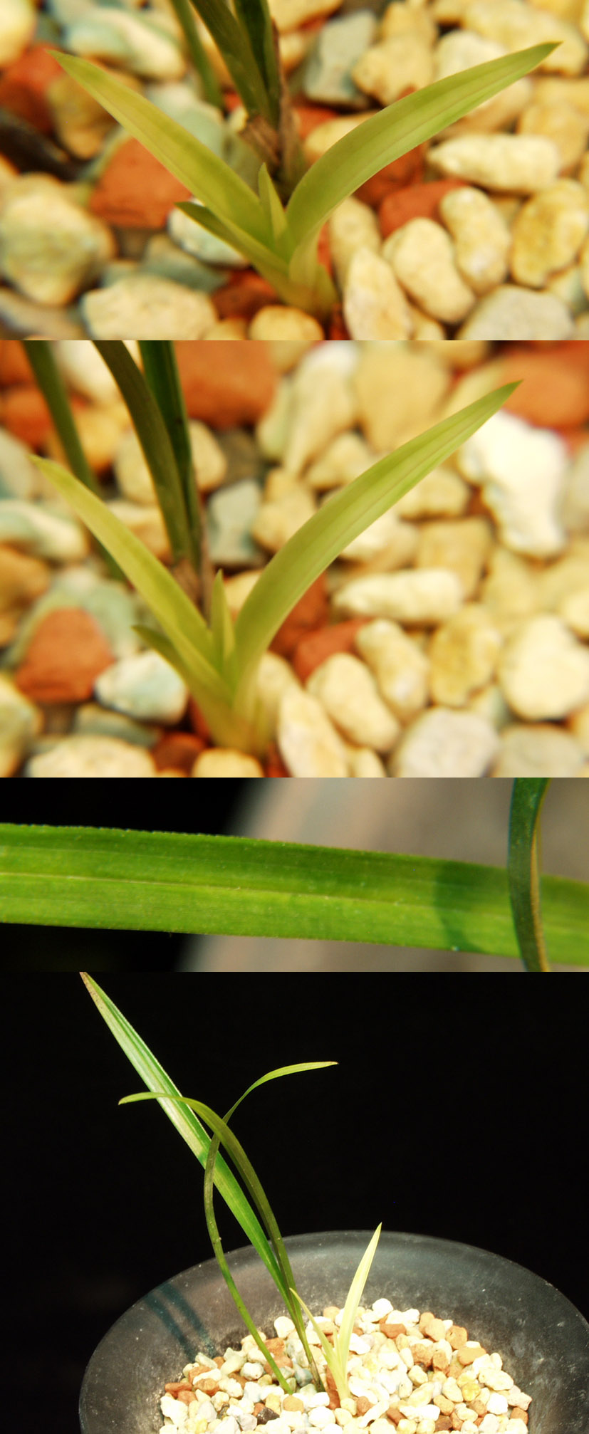 ������ ū������ �� �� �ֽ��ϴ�.