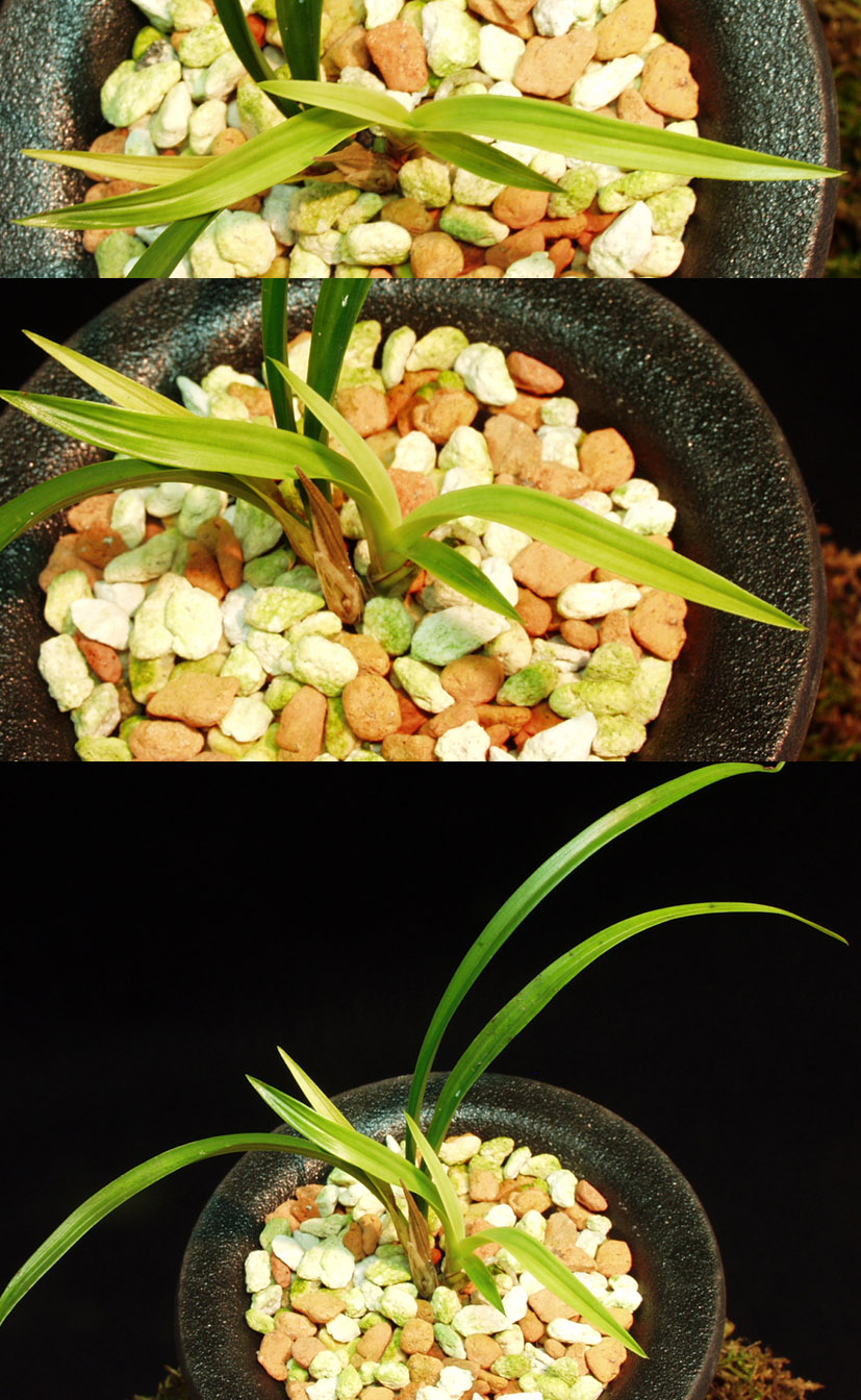 ������ ū������ �� �� �ֽ��ϴ�.