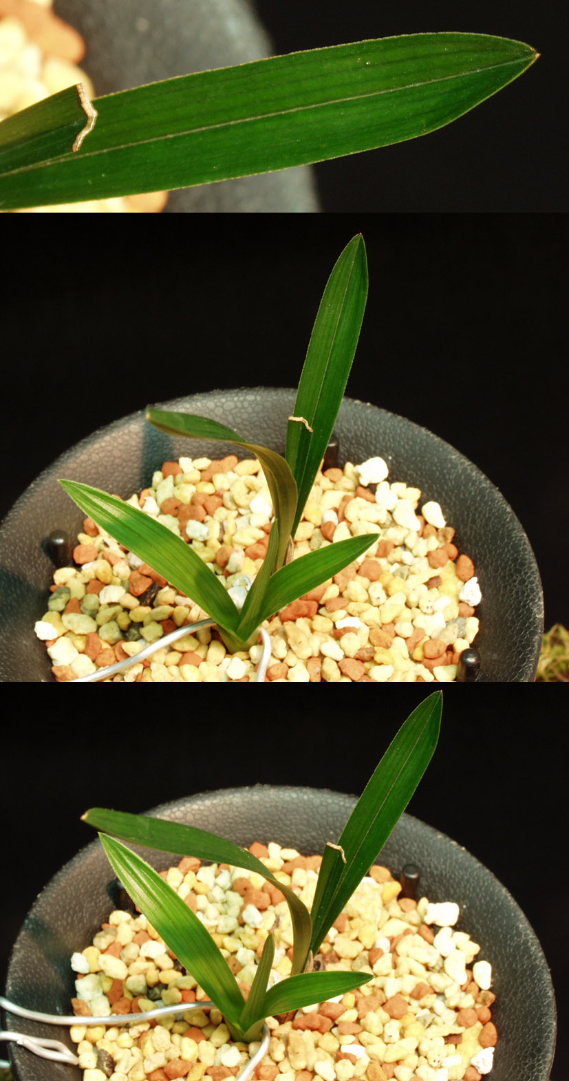 ������ ū������ �� �� �ֽ��ϴ�.