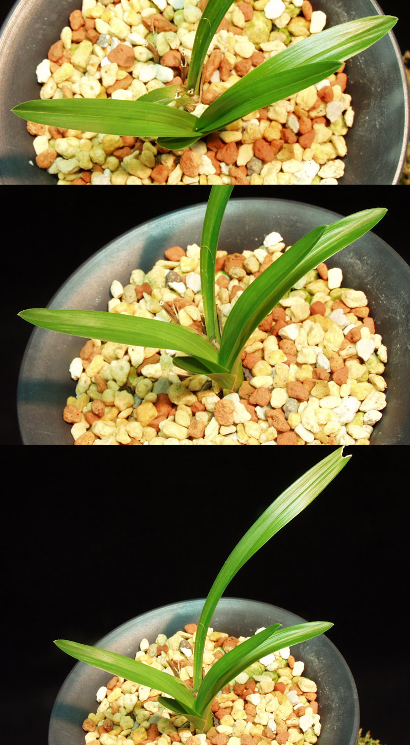 ������ ū������ �� �� �ֽ��ϴ�.