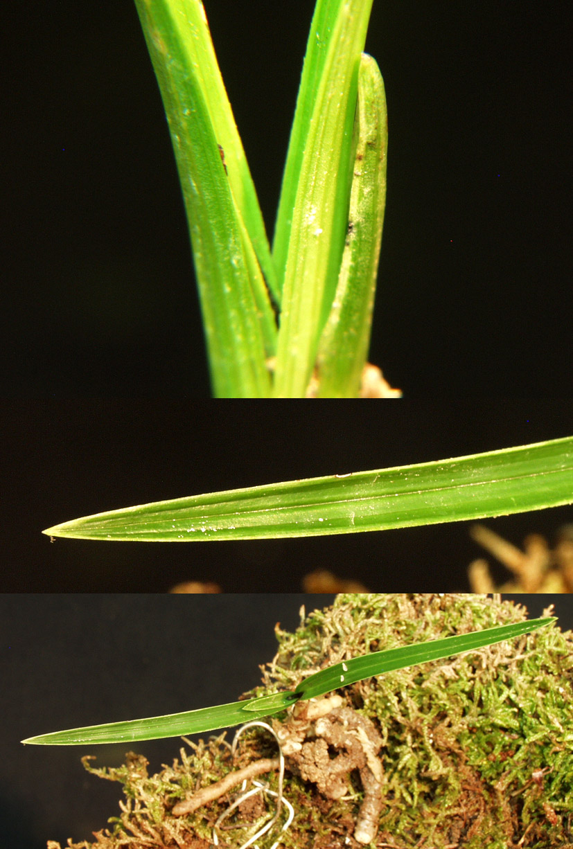 ������ ū������ �� �� �ֽ��ϴ�.