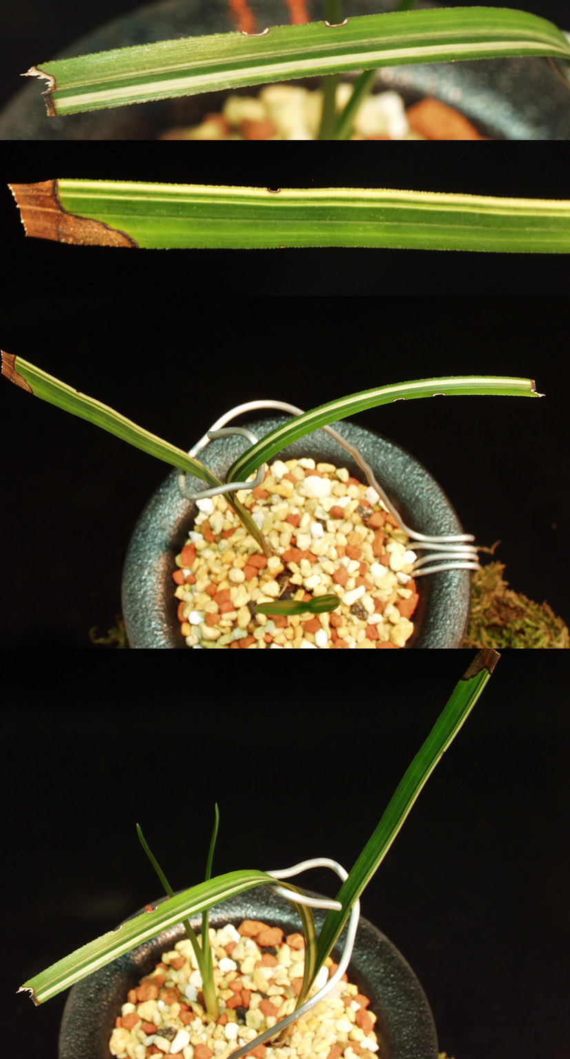 ������ ū������ �� �� �ֽ��ϴ�.