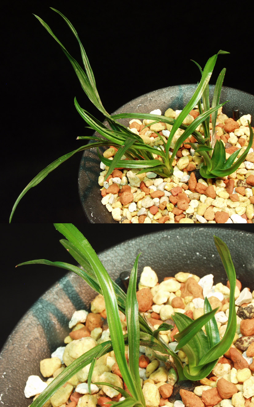 ������ ū������ �� �� �ֽ��ϴ�.