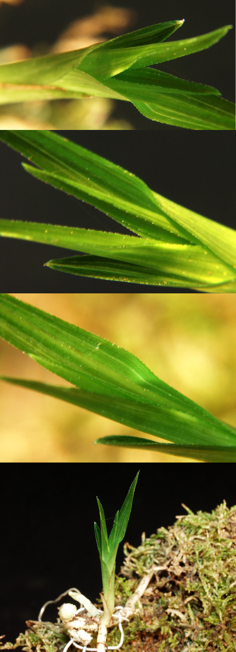 ������ ū������ �� �� �ֽ��ϴ�.