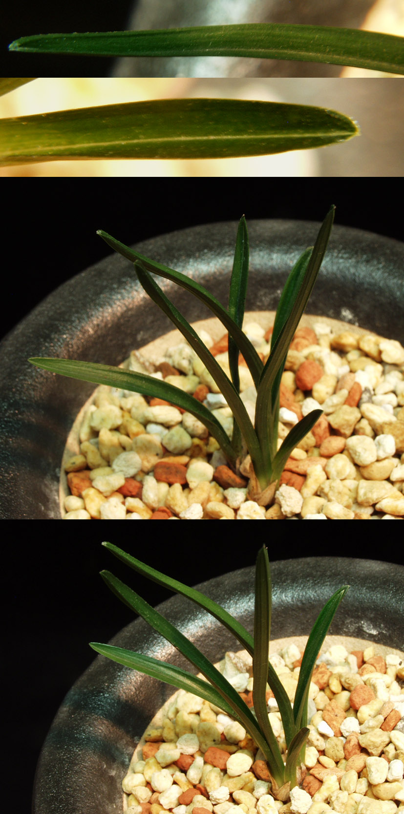 ������ ū������ �� �� �ֽ��ϴ�.