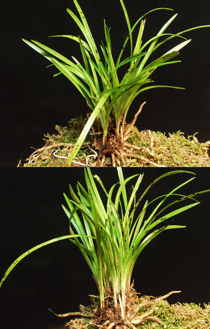 ������ ū������ �� �� �ֽ��ϴ�.