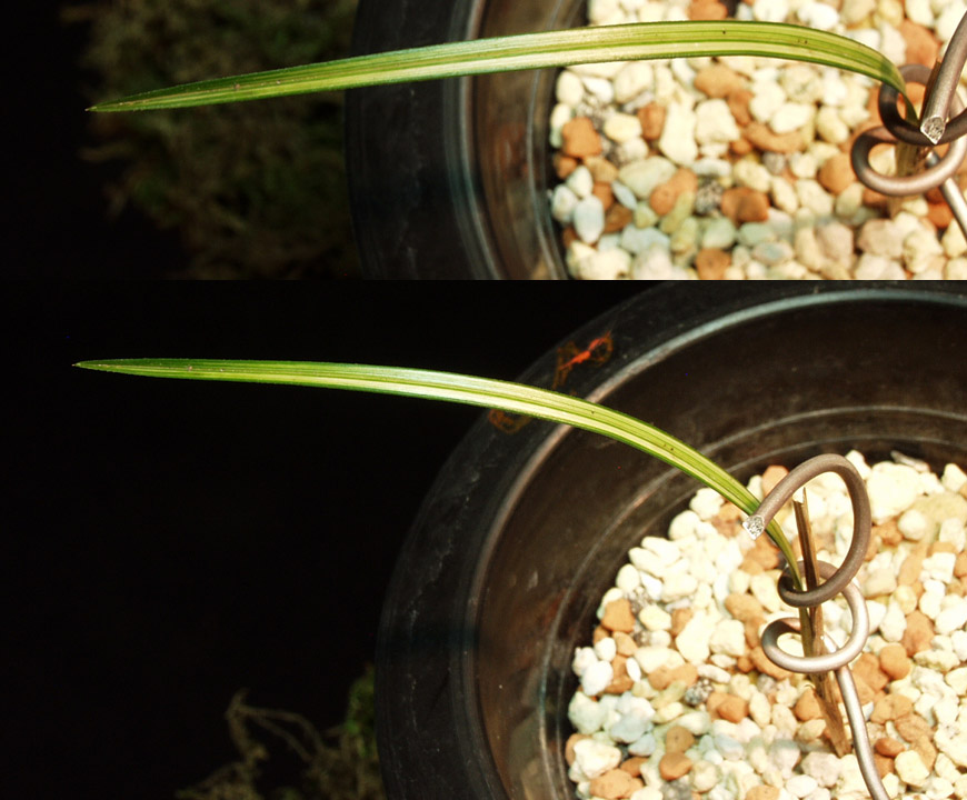 ������ ū������ �� �� �ֽ��ϴ�.