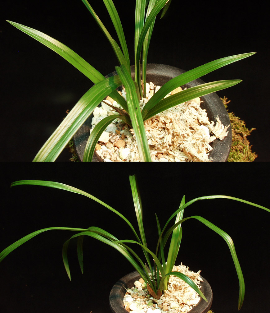 ������ ū������ �� �� �ֽ��ϴ�.