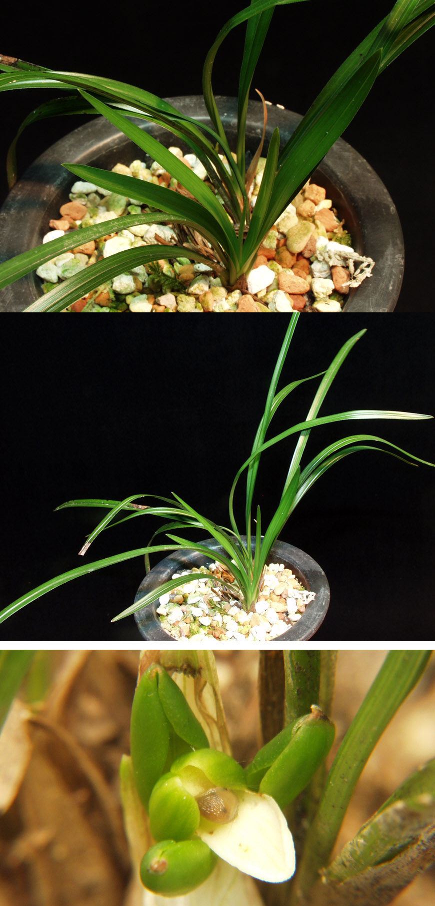 ������ ū������ �� �� �ֽ��ϴ�.