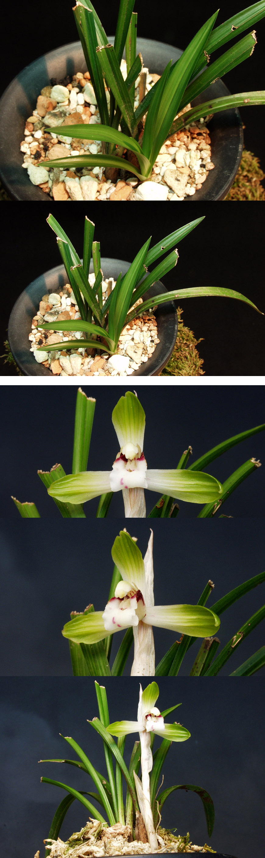 ������ ū������ �� �� �ֽ��ϴ�.