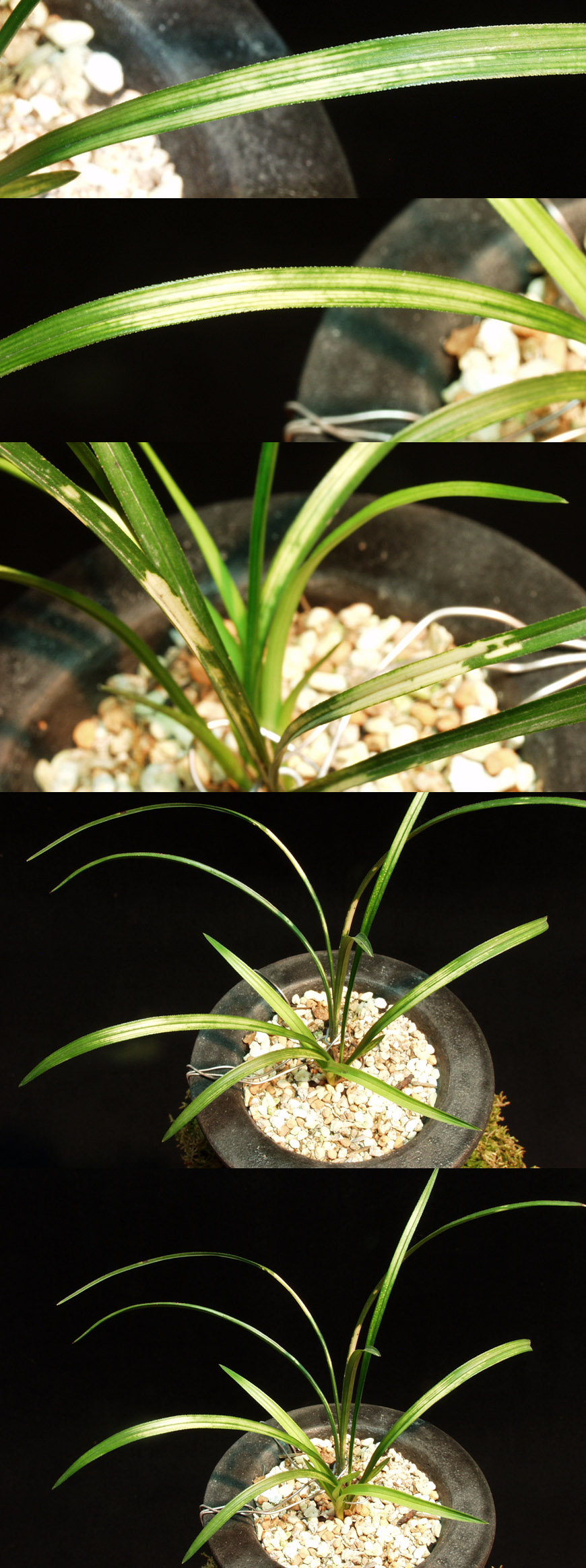 ������ ū������ �� �� �ֽ��ϴ�.