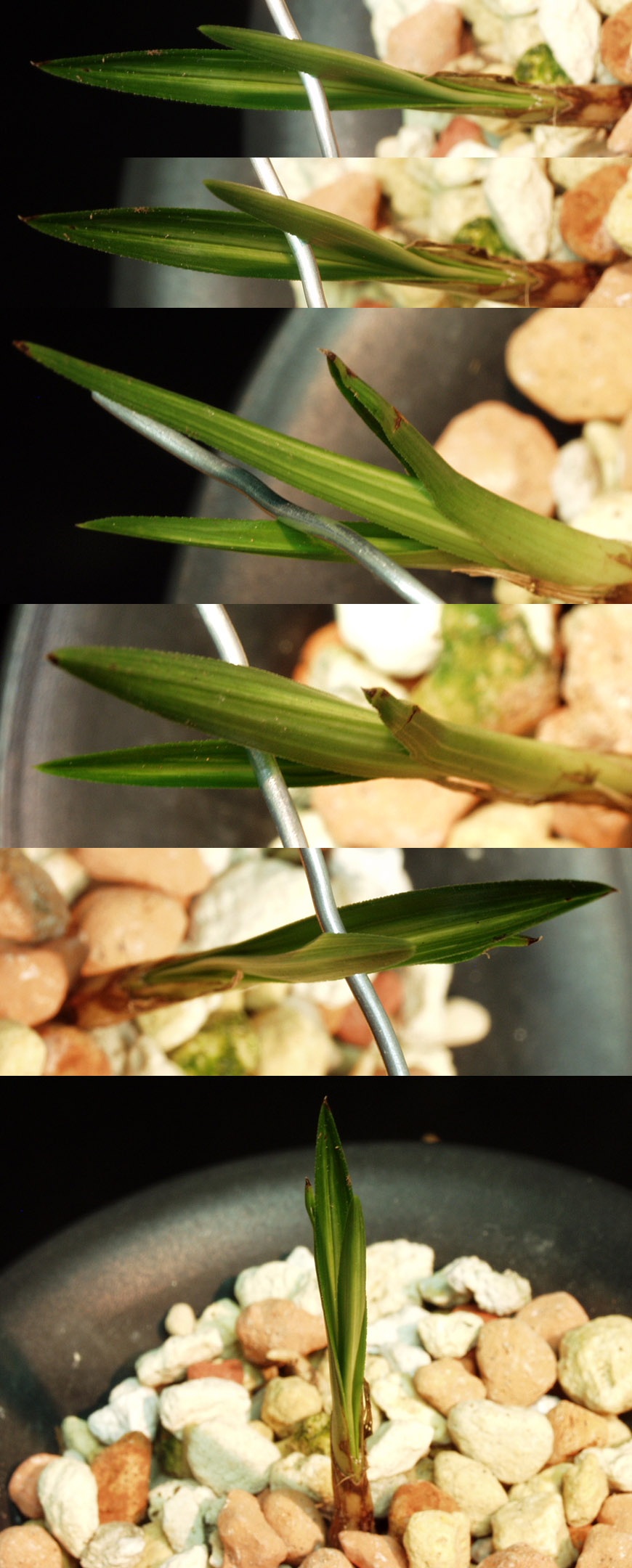 ������ ū������ �� �� �ֽ��ϴ�.