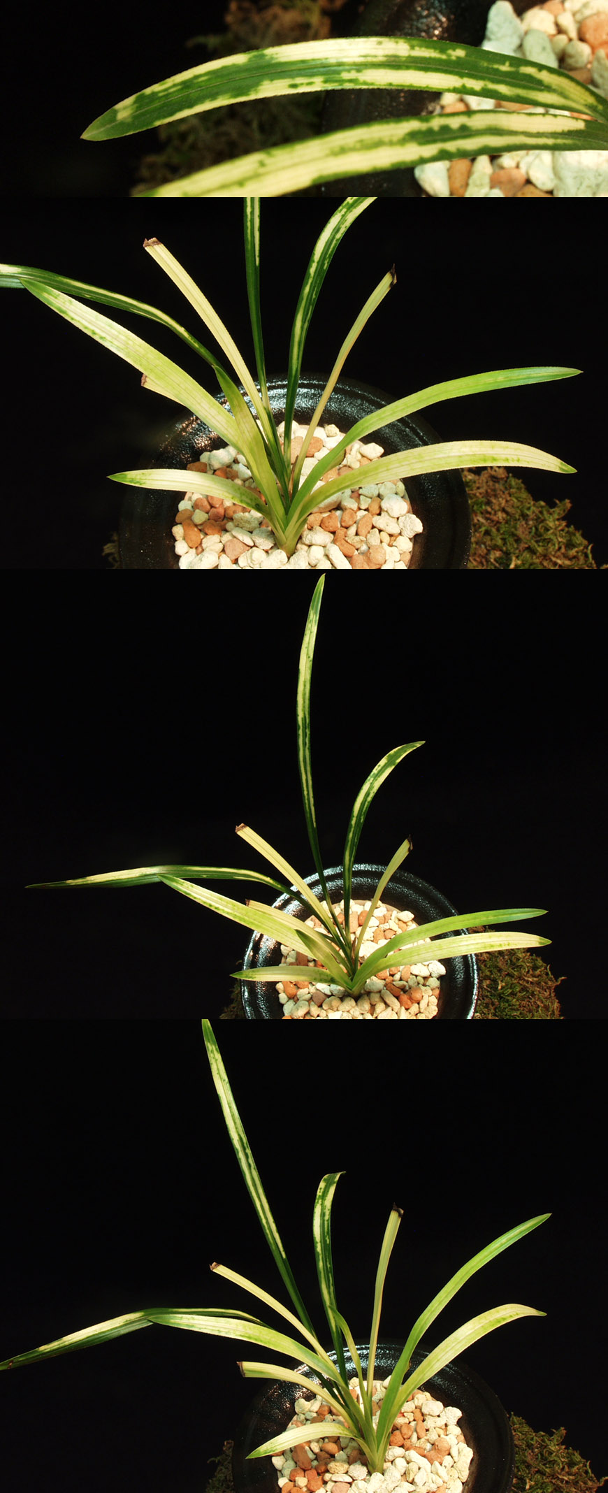 ������ ū������ �� �� �ֽ��ϴ�.