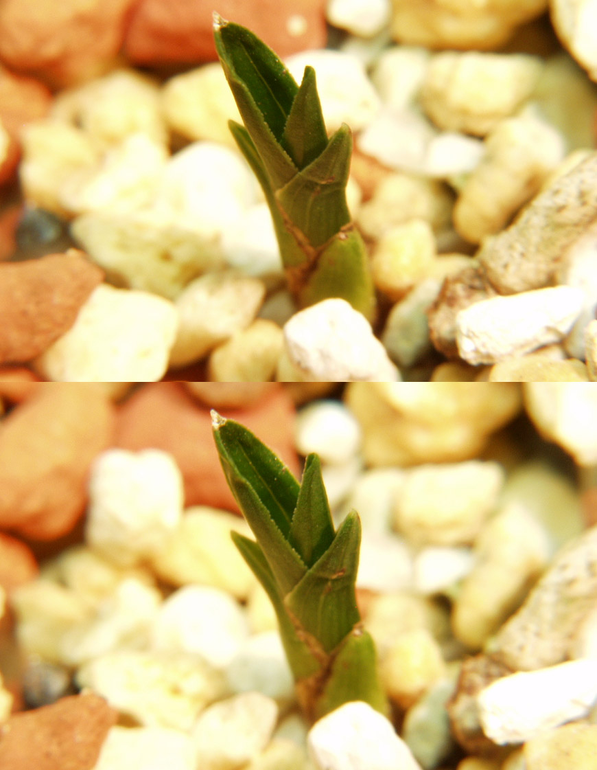 ������ ū������ �� �� �ֽ��ϴ�.