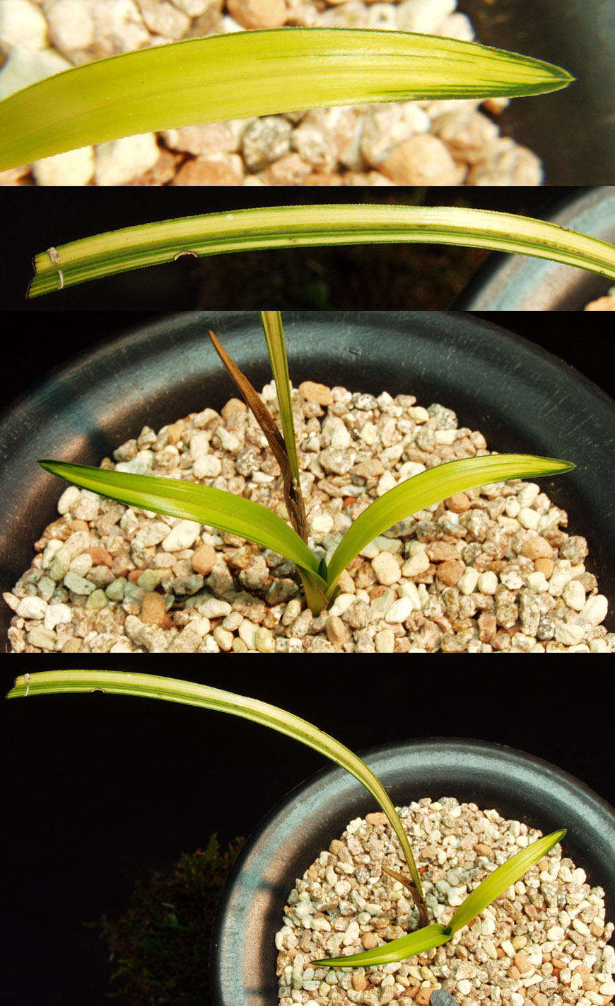 ������ ū������ �� �� �ֽ��ϴ�.