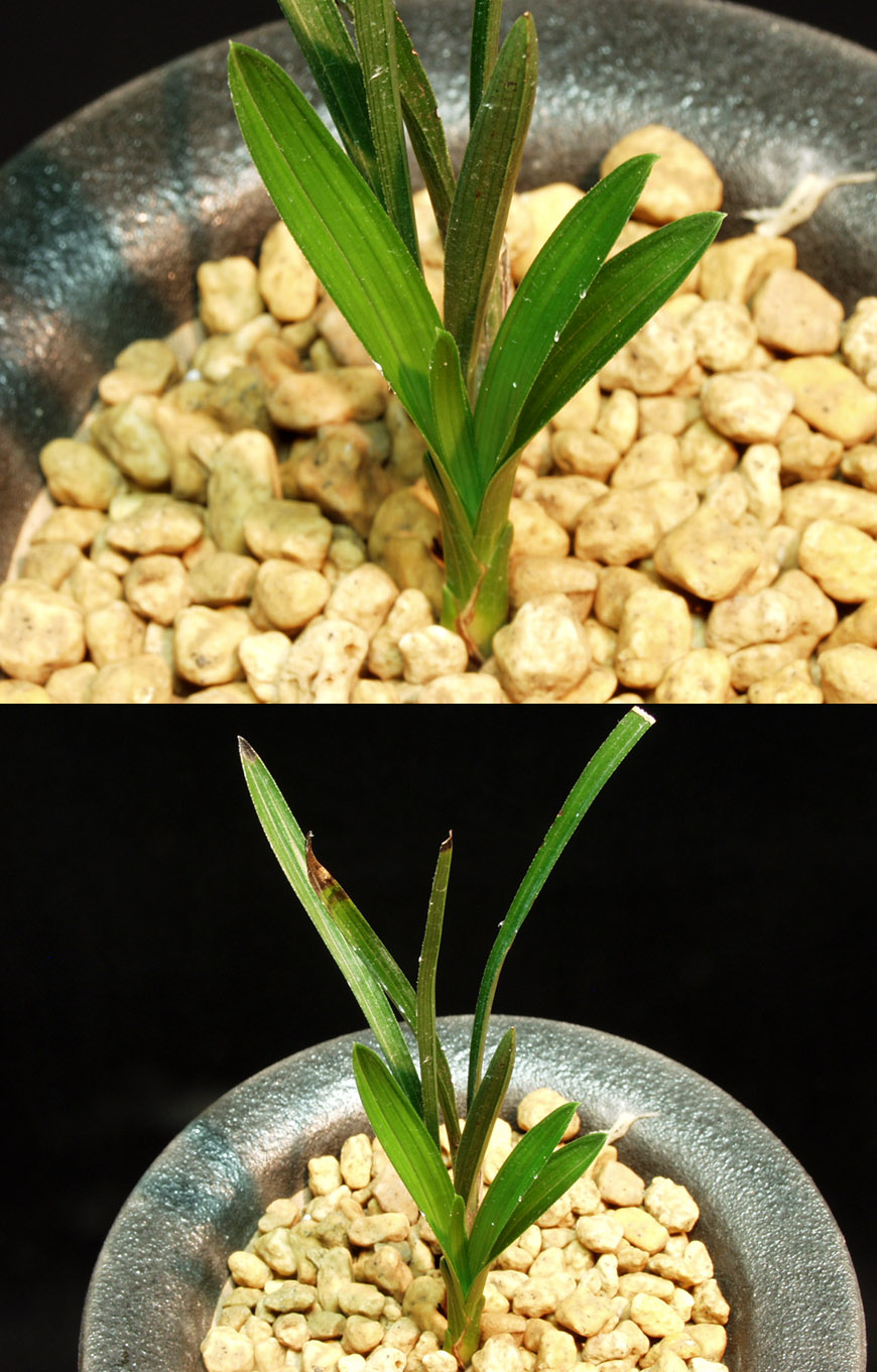 ������ ū������ �� �� �ֽ��ϴ�.