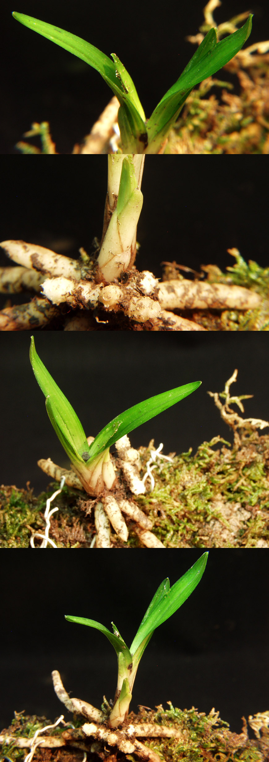 ������ ū������ �� �� �ֽ��ϴ�.