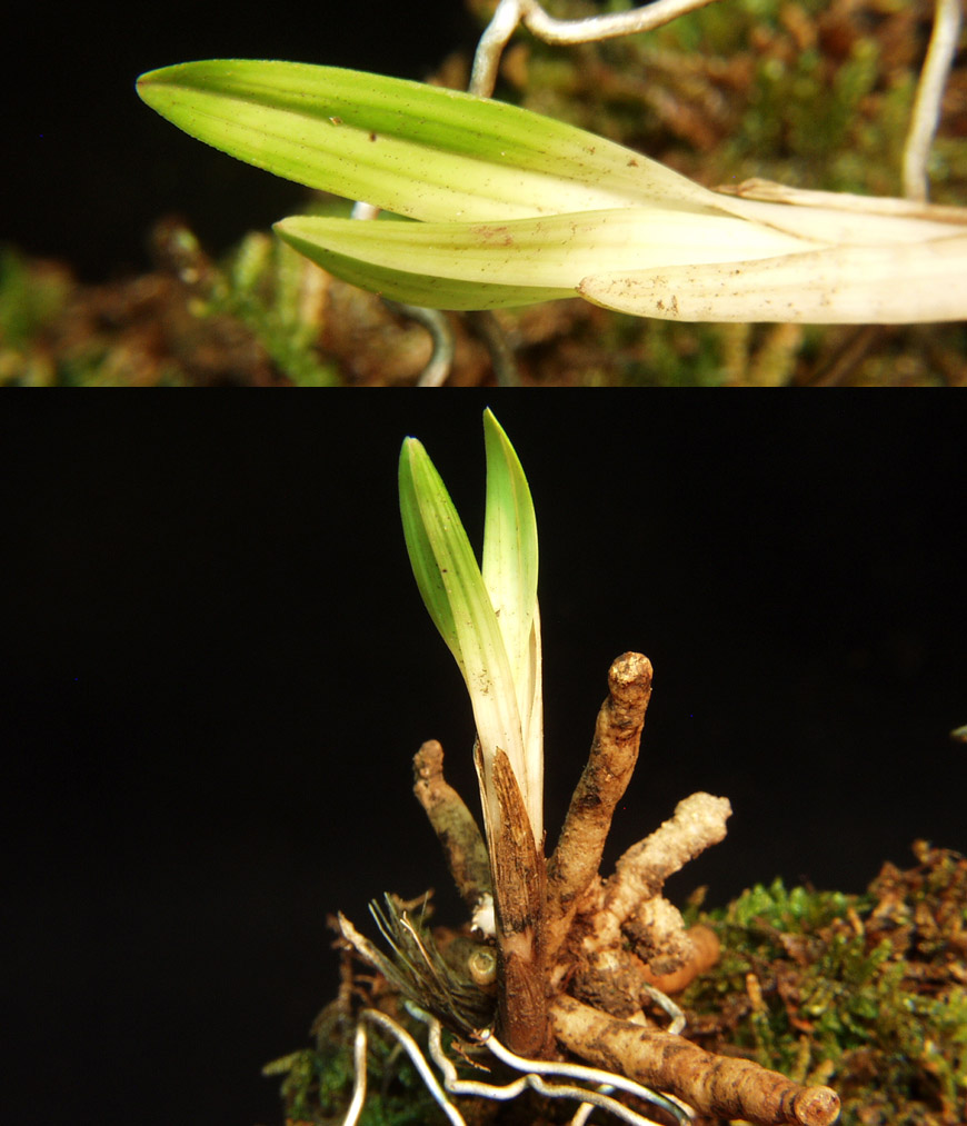 ������ ū������ �� �� �ֽ��ϴ�.