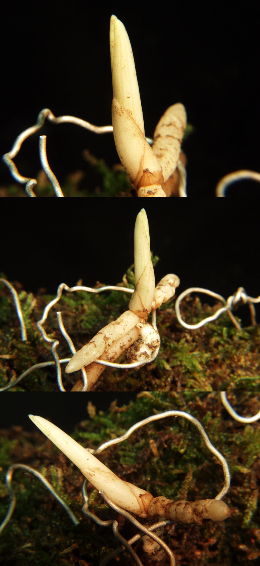 ������ ū������ �� �� �ֽ��ϴ�.