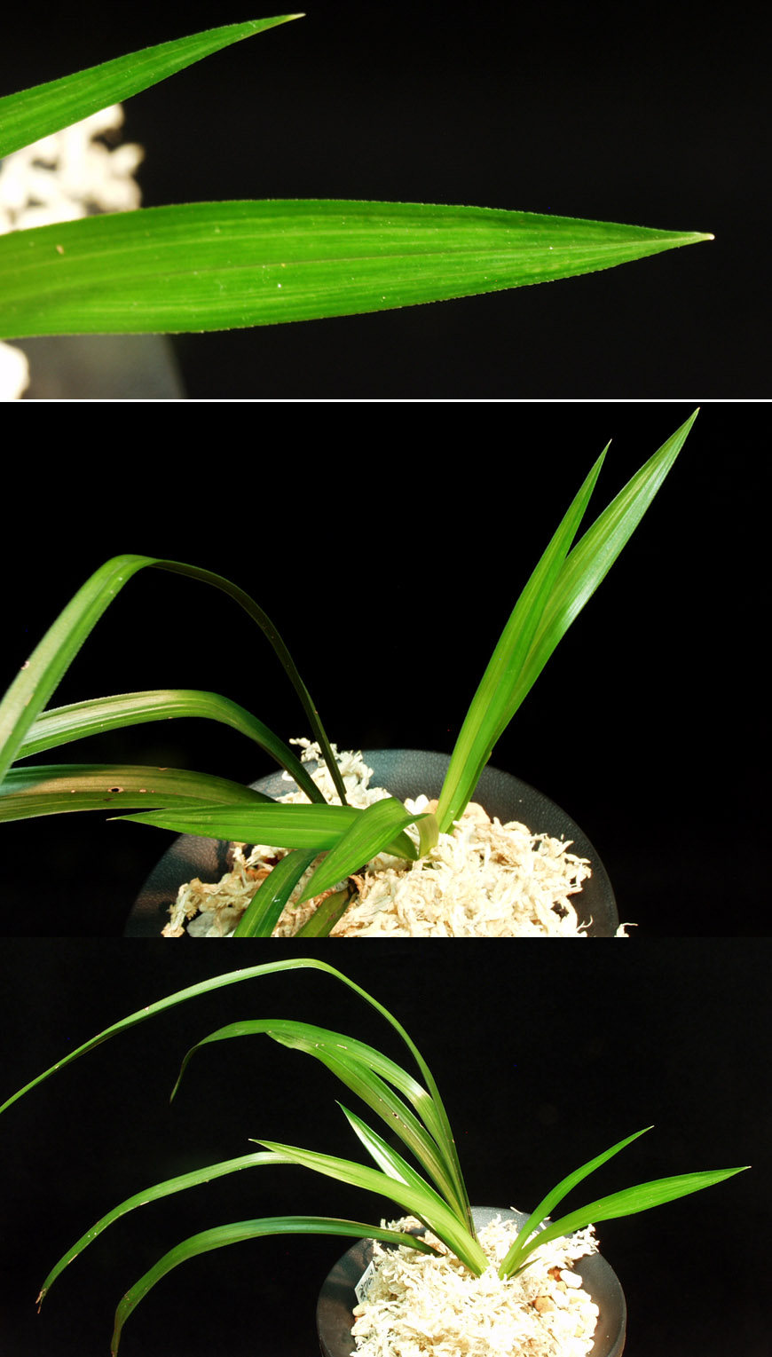 ������ ū������ �� �� �ֽ��ϴ�.