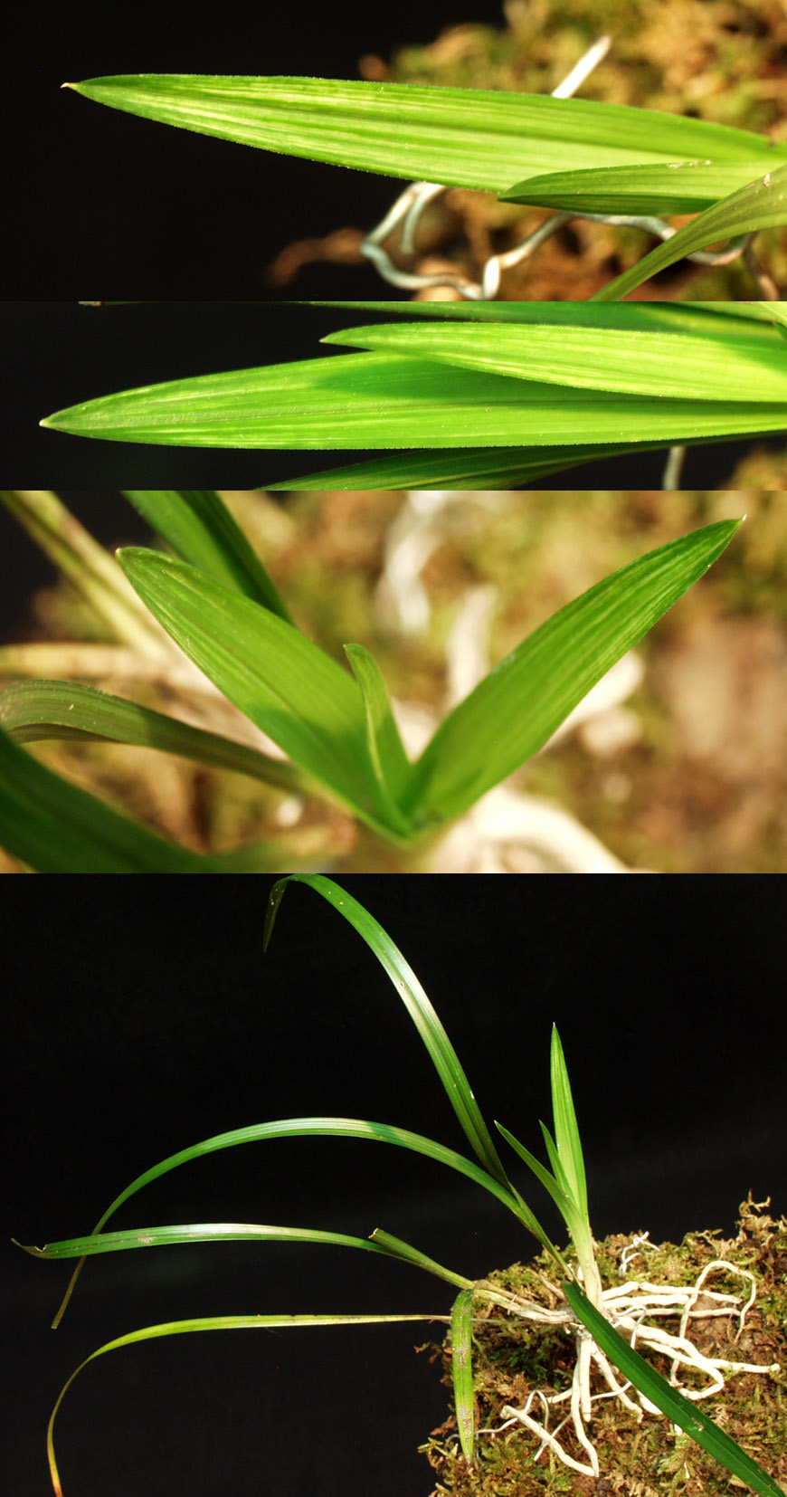 ������ ū������ �� �� �ֽ��ϴ�.