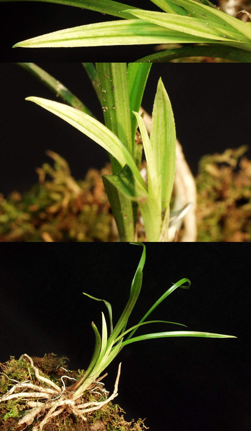 ������ ū������ �� �� �ֽ��ϴ�.